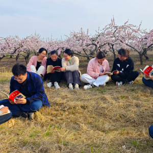 連云港贛榆：書(shū)香伴花香 文旅巧融合