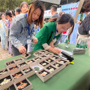 無錫濱湖：書香伴游園 理論潤心田