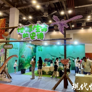 古生物化石首次亮相江蘇書展，聽化石“講述”地球生命演化的歷程