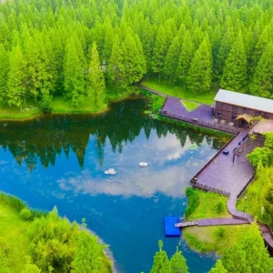 第六站：鹽城·東臺(tái)黃海森林生態(tài)旅游度假區(qū)